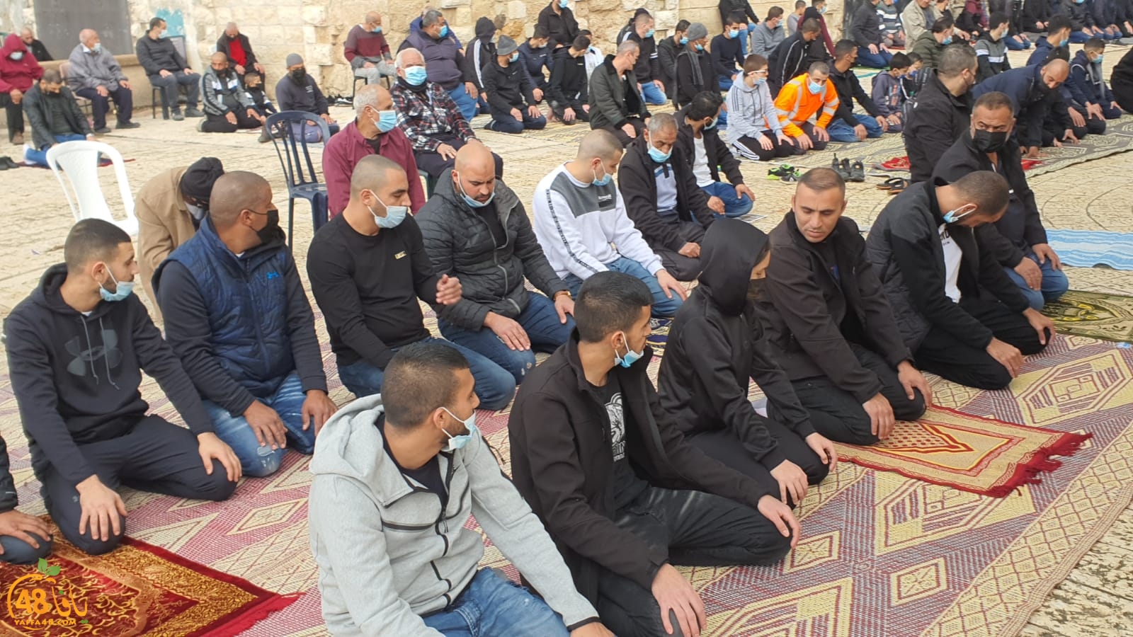 WhatsApp Image 2021-02-05 at 2.13.37 PM.jpeg